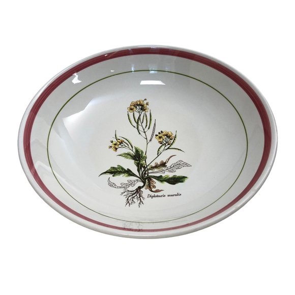 Primula Diplotaxis Muralis Serving Pasta Bowl Yellow Flower Italy Floral White - Picture 2 of 10